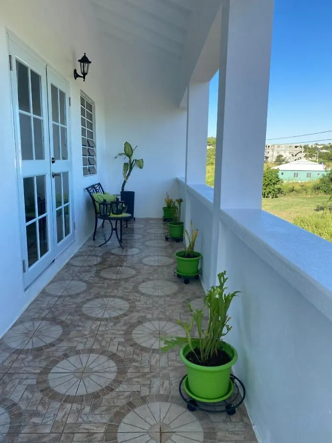 Marble Hill Vue Imprenable Sur St-John'S Lejlighed Cedar Grove