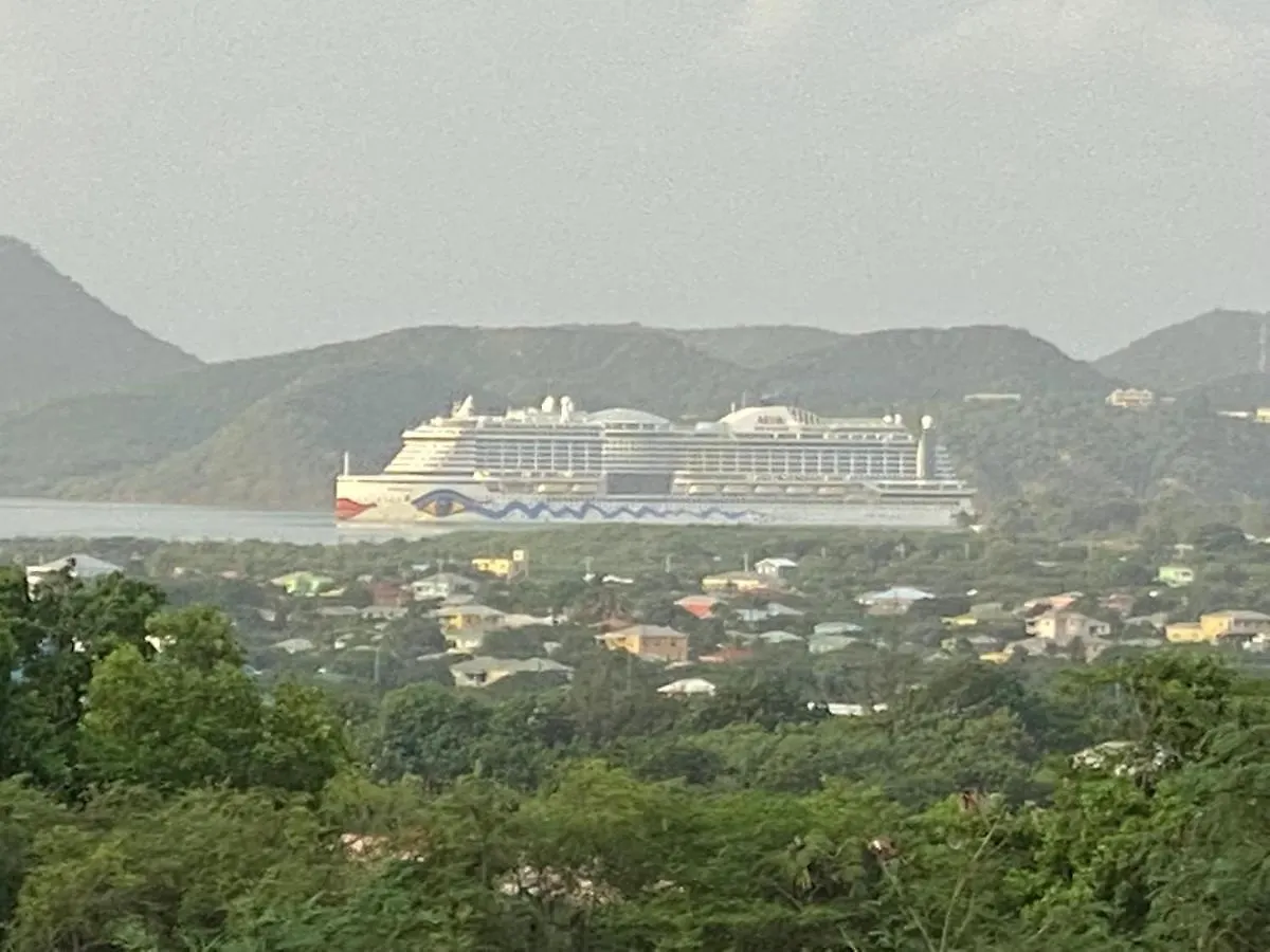 Marble Hill Vue Imprenable Sur St-John'S Lejlighed Cedar Grove
