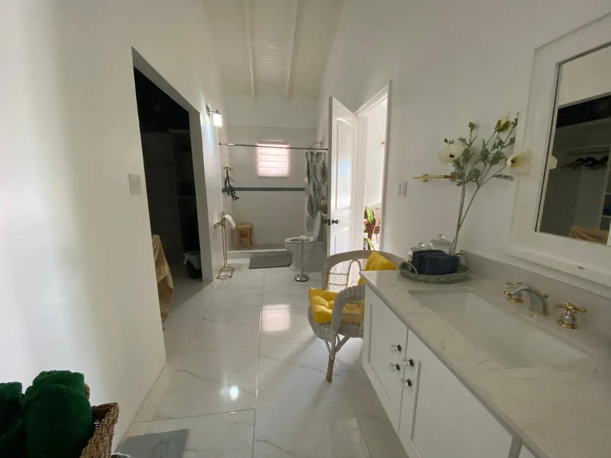 Marble Hill Vue Imprenable Sur St-John'S Lejlighed Cedar Grove