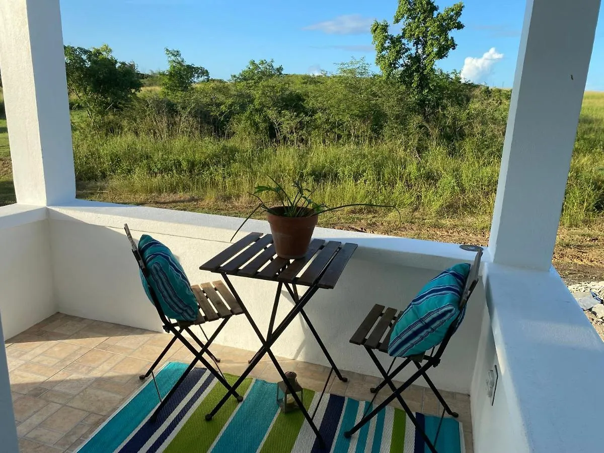 Marble Hill Vue Imprenable Sur St-John'S Lejlighed Cedar Grove 0*,