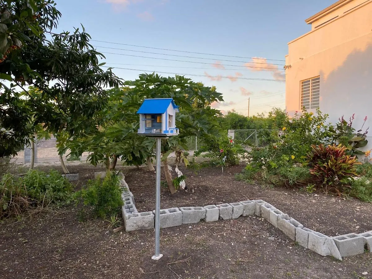 Marble Hill Vue Imprenable Sur St-John'S Lejlighed Cedar Grove